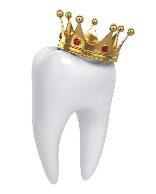 df015dd012ff719256536ef382a6733a Photoroom